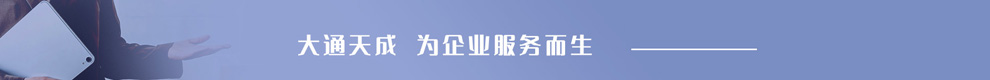 大通天成，為企業(yè)服務而生。