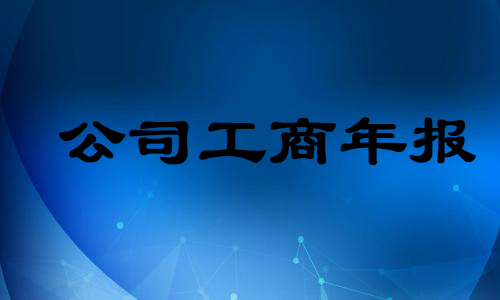 公司工商年報