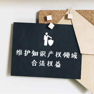 知識產(chǎn)權