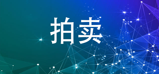 注冊拍賣公司