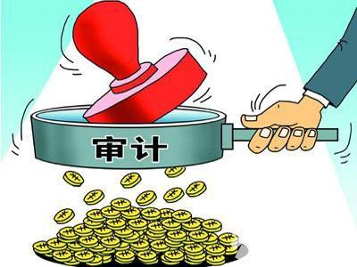 專(zhuān)業(yè)代辦審計(jì)公司怎么樣