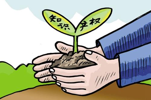國家知識產(chǎn)權局侵權懲罰性賠償最高可罰500萬元