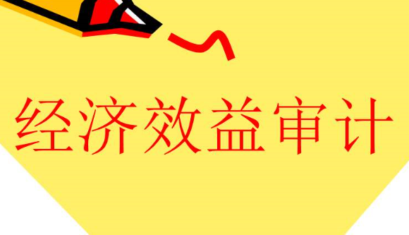 什么是經(jīng)濟(jì)效益審計(jì)，有何特點(diǎn)？