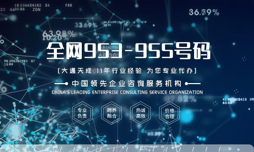 如何申請(qǐng)95開頭的號(hào)碼，企業(yè)所需條件及流程詳解